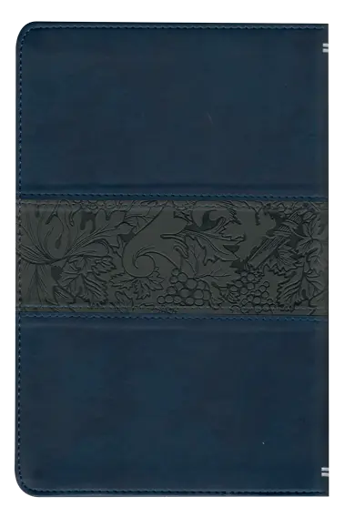 CONTRAPORTADA (13).webp