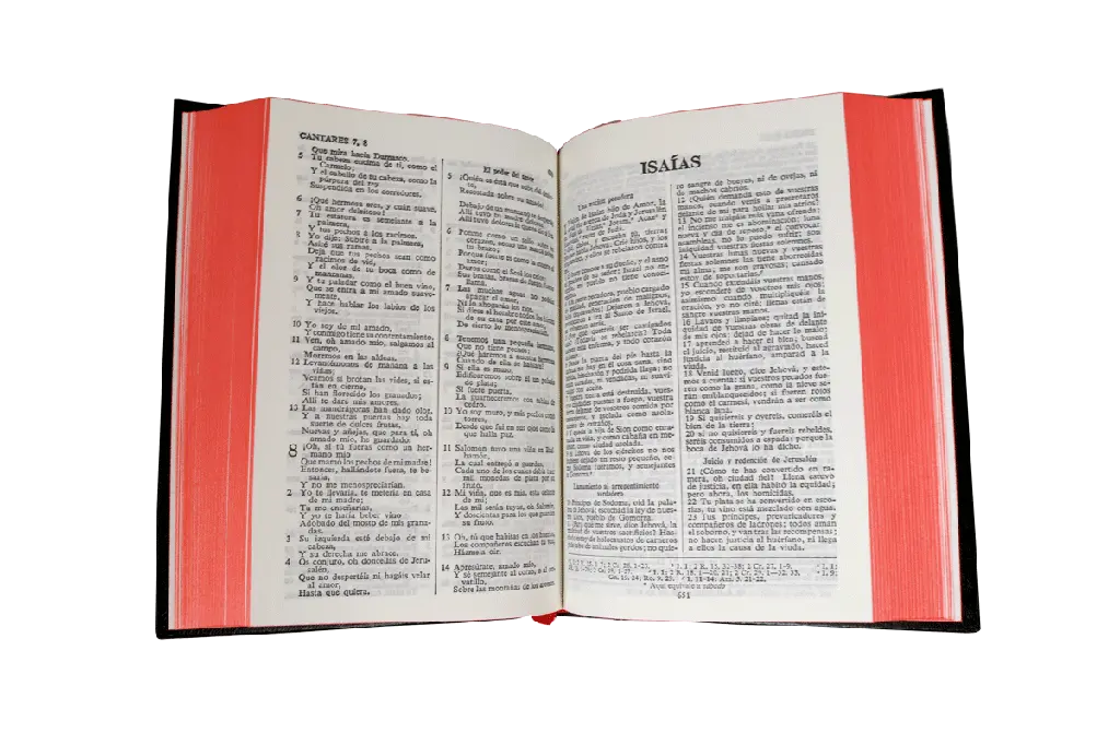 CONTENIDO (14).webp