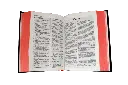 CONTENIDO (14).webp
