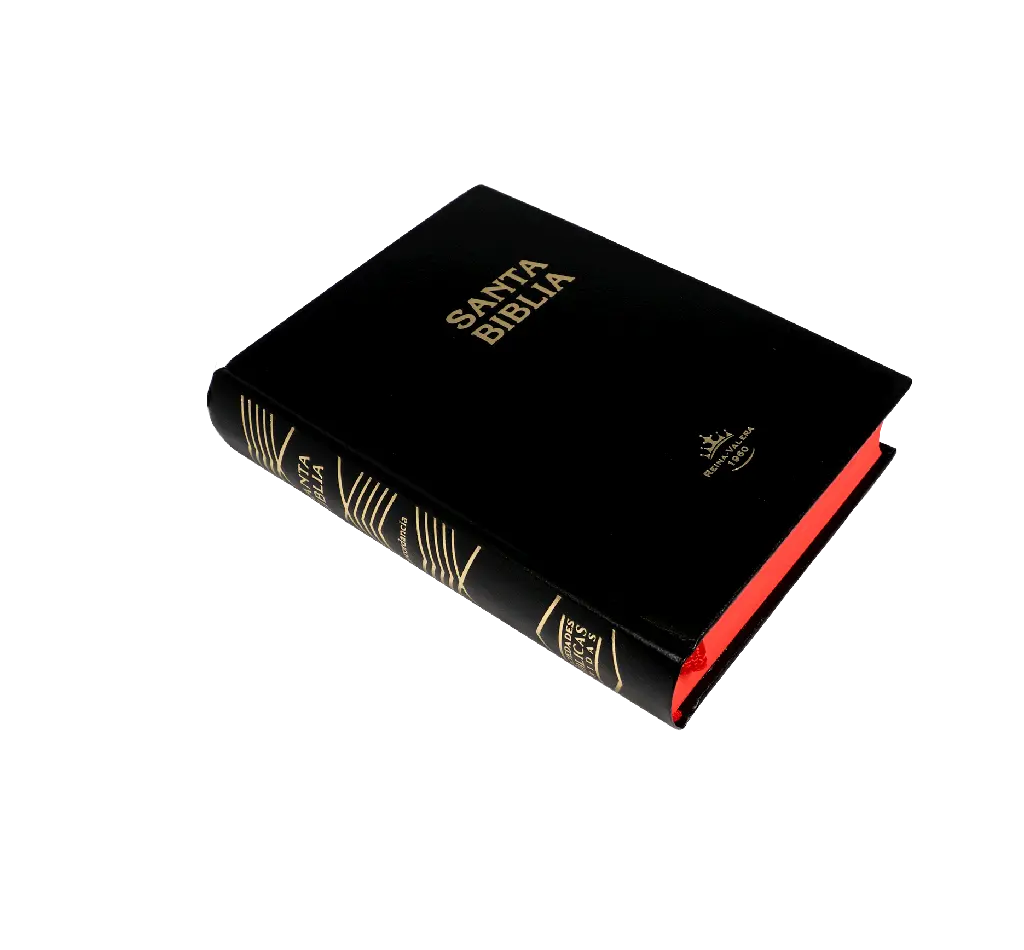 CONTRAPORTADA (14).webp