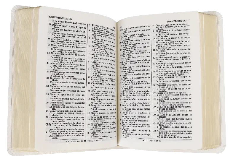 CONTENIDO (15).webp