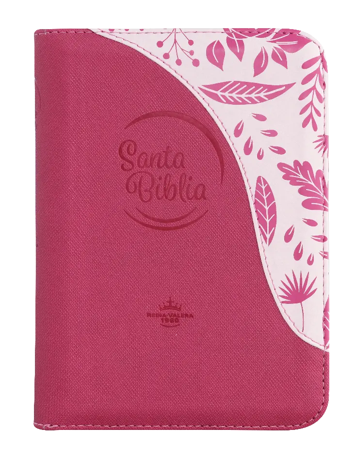PORTADA (17).webp