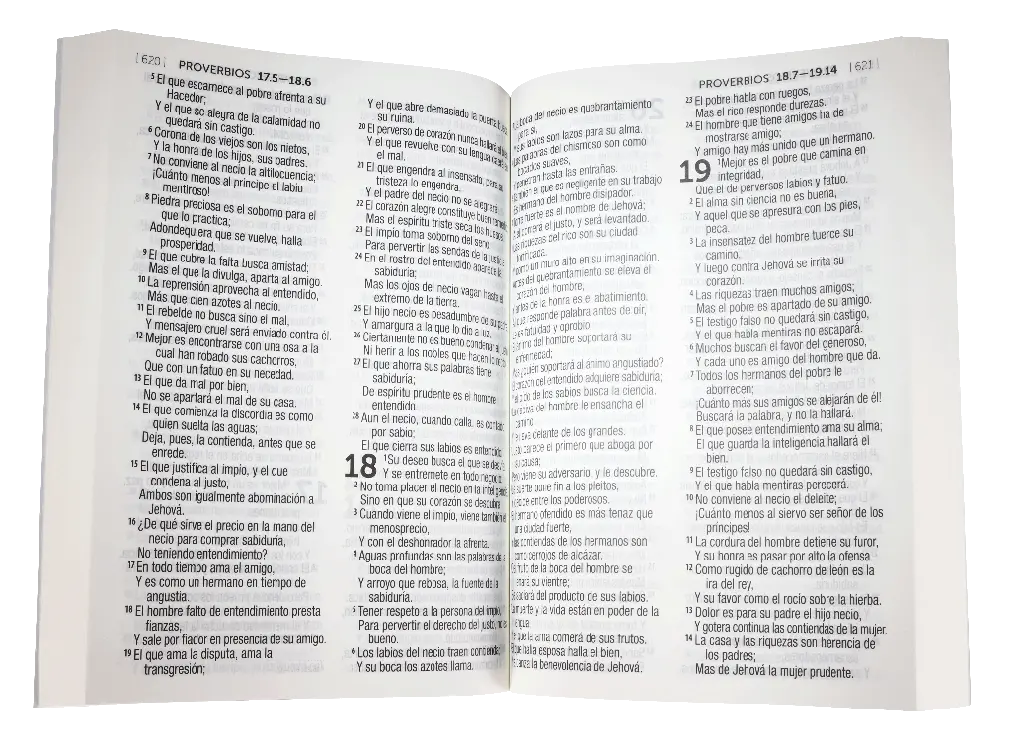 CONTENIDO (16).webp