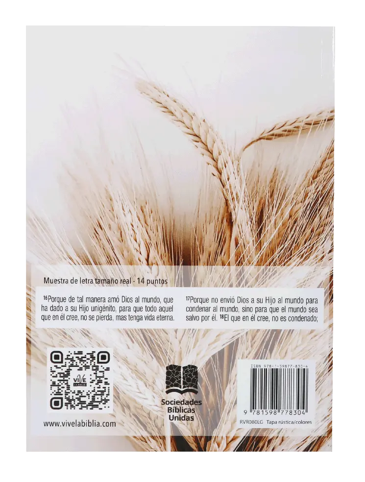 CONTRAPORTADA (17).webp