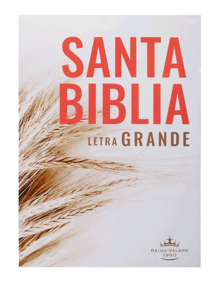PORTADA (18).webp