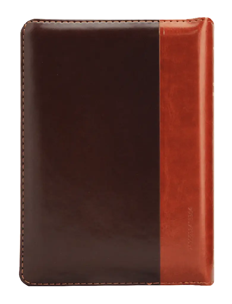 Biblia Reina Valera 1960 Letra Grande Café-Marrón [RVR046cLSGiPJRZTI] (2).webp