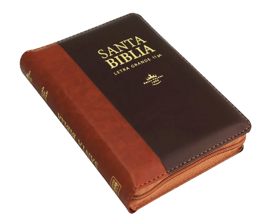Biblia Reina Valera 1960 Letra Grande Café-Marrón [RVR046cLSGiPJRZTI] (3).webp