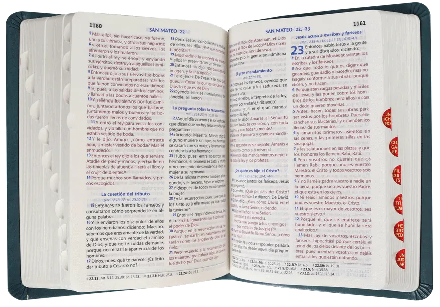 CONTENIDO (17).webp