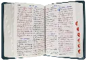 CONTENIDO (17).webp