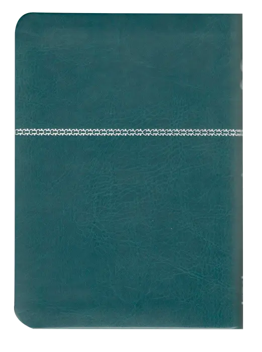 CONTRAPORTADA (19).webp