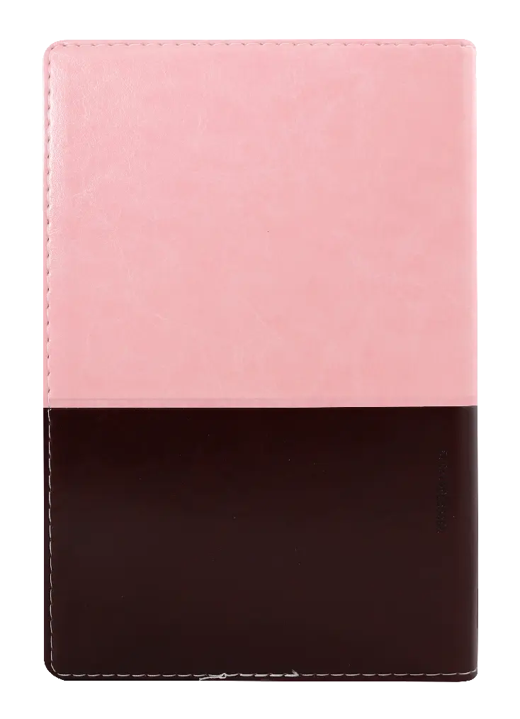 CONTRAPORTADA (21).webp