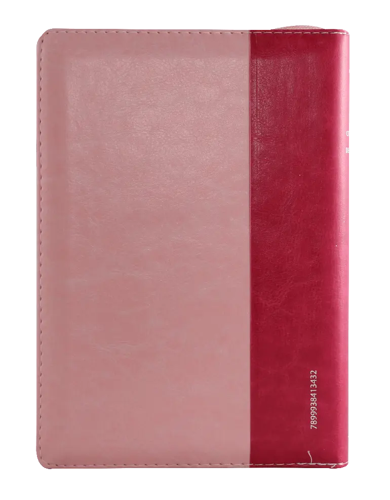 CONTRAPORTADA (22).webp