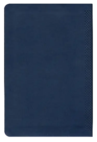 CONTRAPORTADA (23).webp