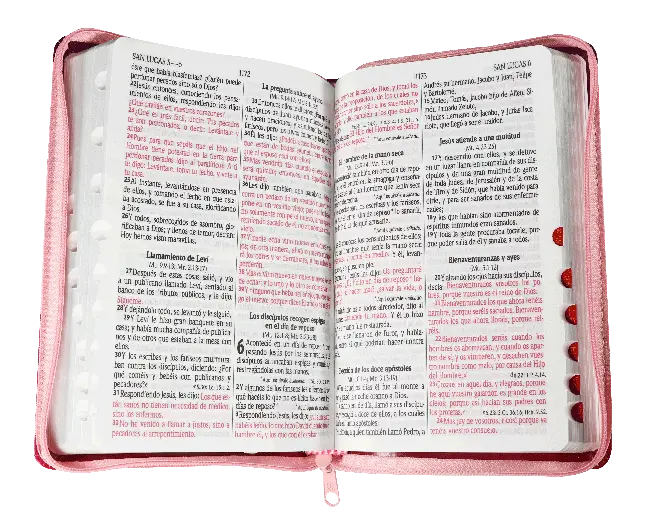 CONTENIDO (21).webp