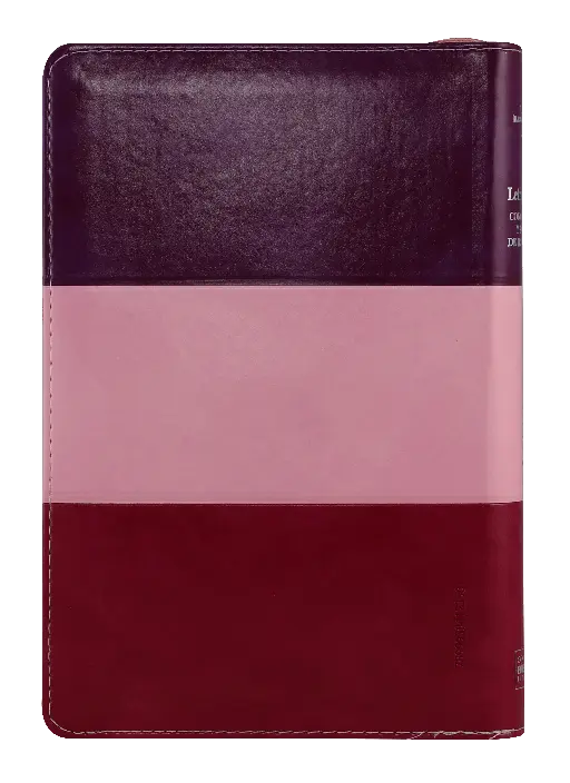 CONTRAPORTADA (24).webp