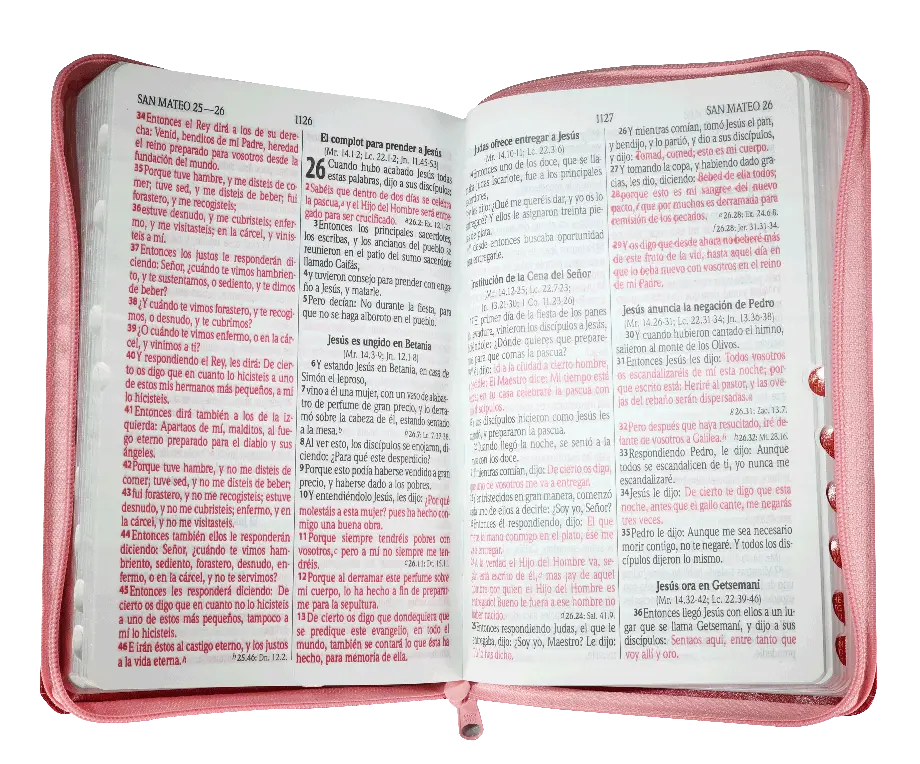 CONTENIDO (22).webp
