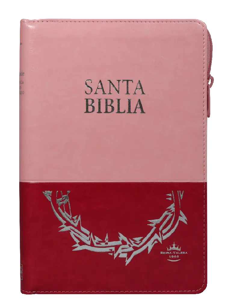 PORTADA (25).webp