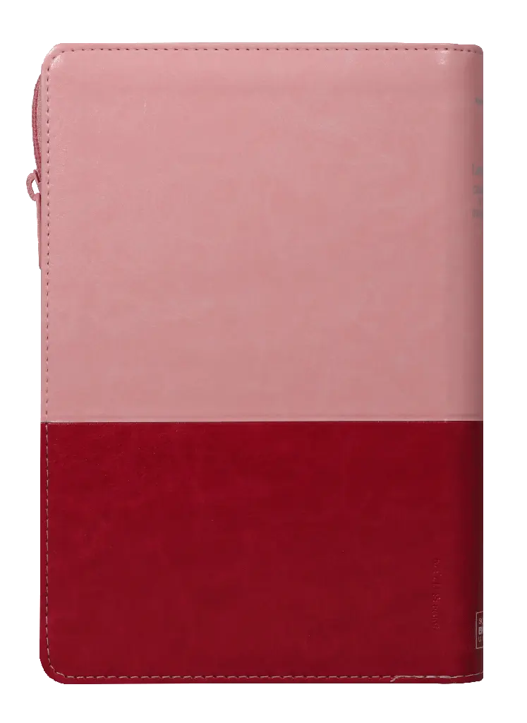 CONTRAPORTADA (25).webp