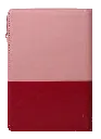 CONTRAPORTADA (25).webp