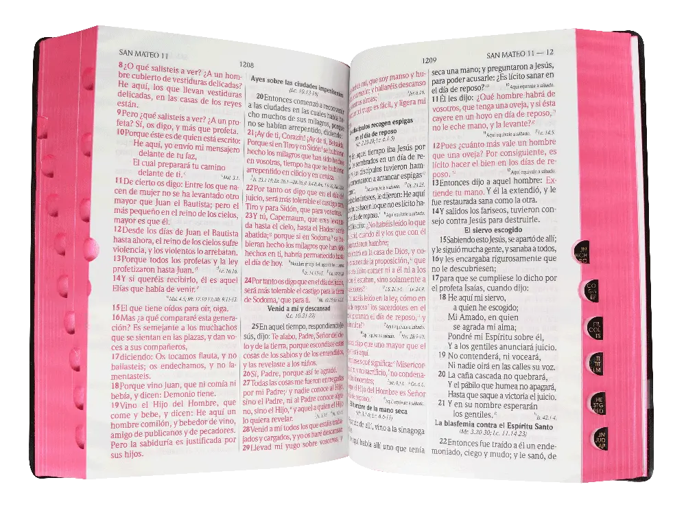 CONTENIDO (1).webp