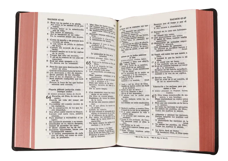 CONTENIDO (2).webp