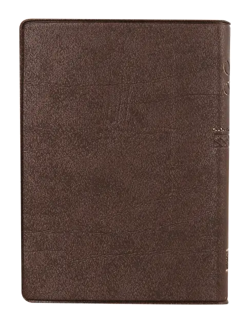 CONTRAPORTADA (2).webp