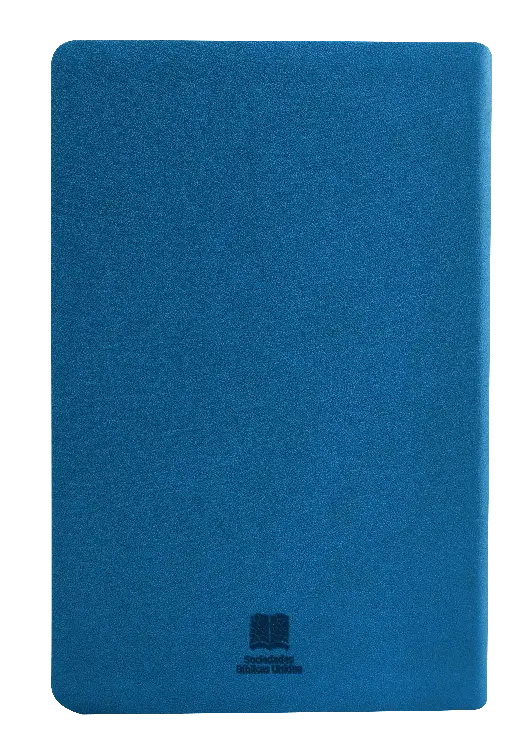 Biblia Reina Valera Contemporánea Mediana Letra Grande Imitación Piel Agua Marina QR [RVC066cLG PJR] (1).webp