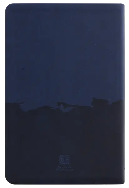 Biblia Reina Valera Contemporánea Mediana Letra Grande Imitación Piel Azul QR [RVC066cLG PJR] (2).webp