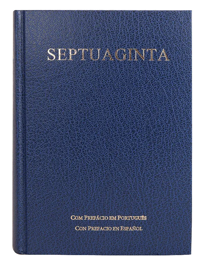 PORTADA (3).webp