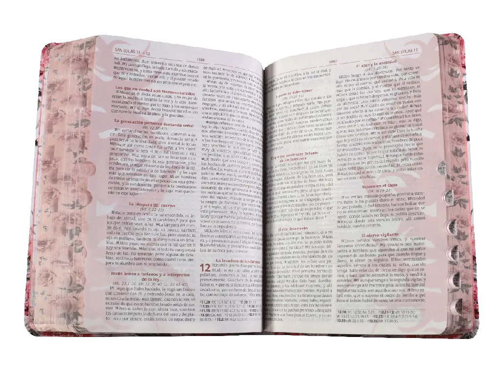 Biblia de Estudio Predicación de Avivamiento Reina Valera 1960 Grande Letra Grande Flores (RVR086cLGEE-PEN).webp