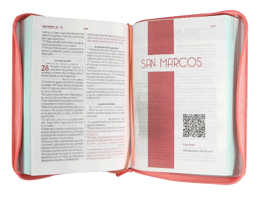 CONTENIDO (1).webp