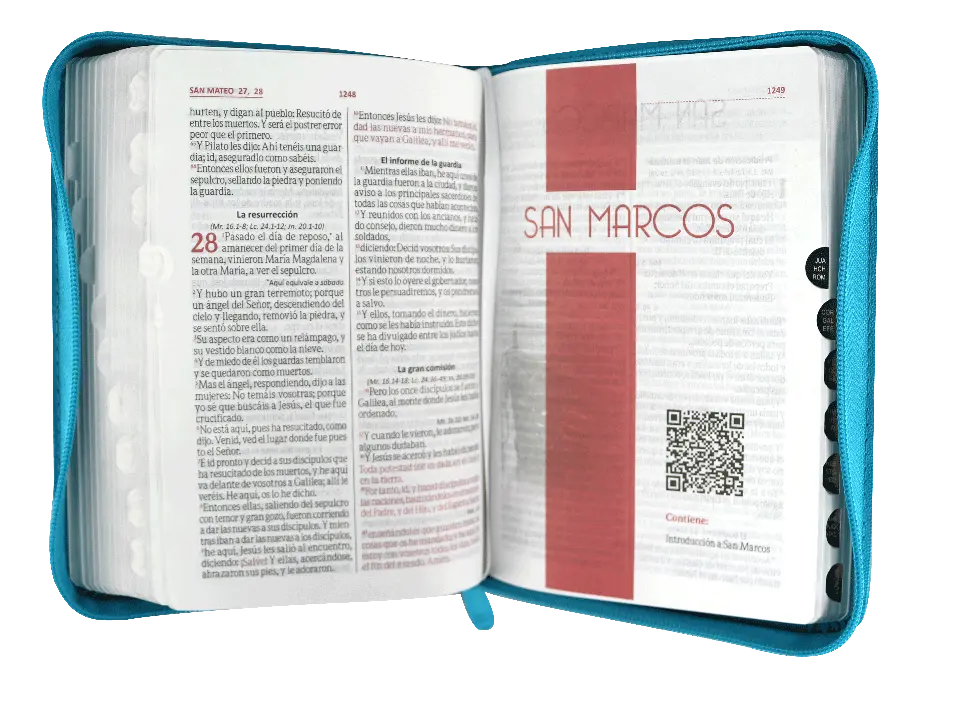CONTENIDO (2).webp