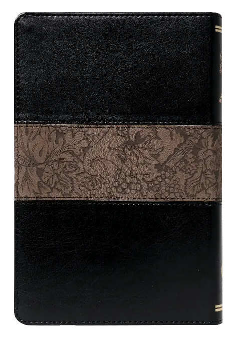 CONTRAPORTADA (4).webp