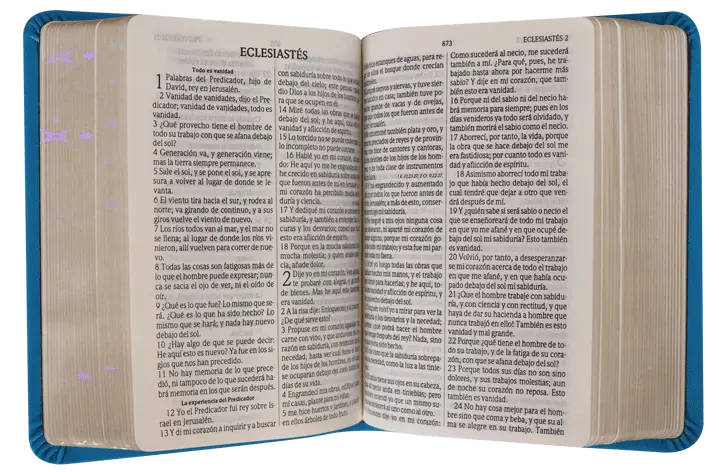 CONTENIDO (6).webp