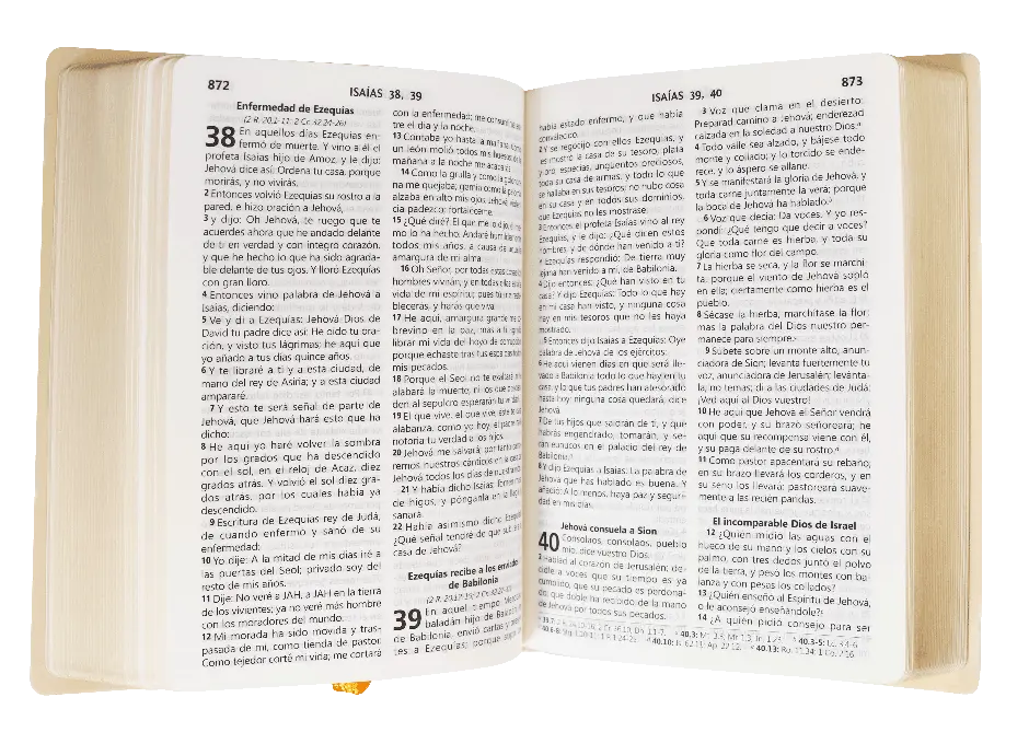 CONTENIDO (7).webp