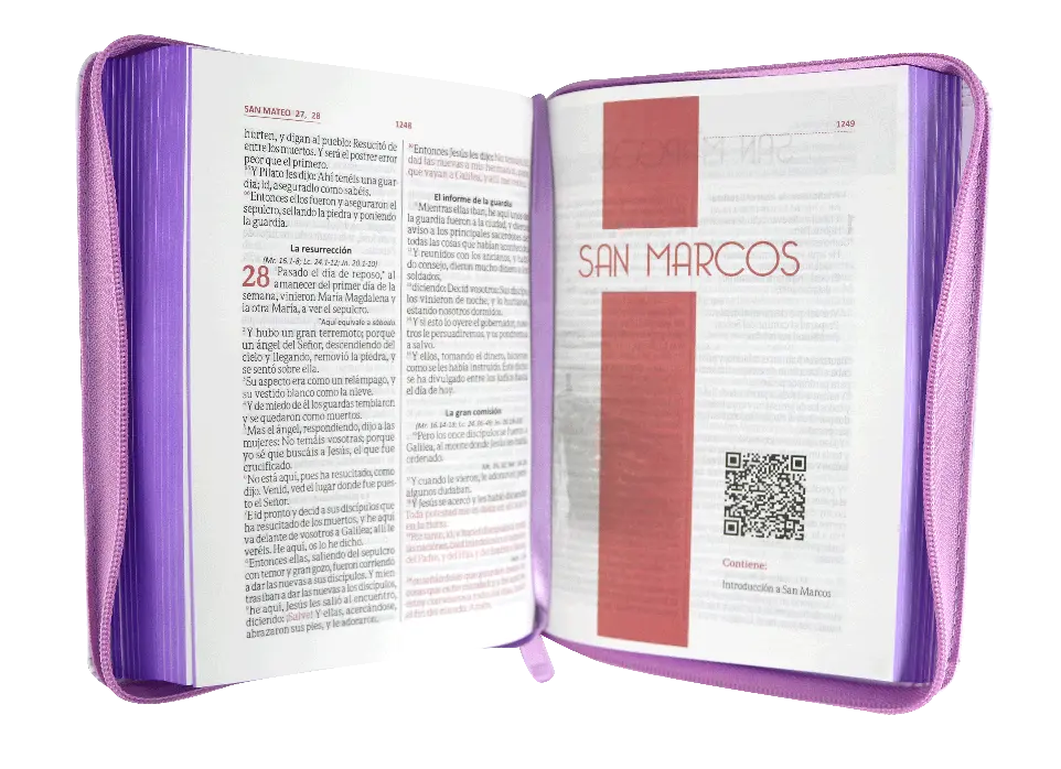 CONTENIDO (8).webp