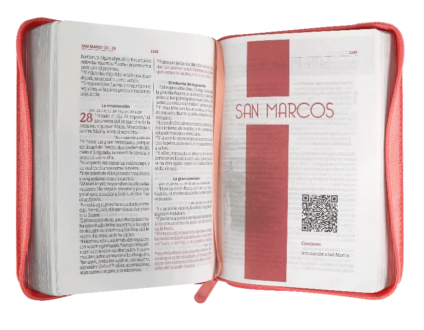 CONTENIDO (9).webp