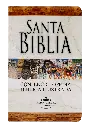 PORTADA (11).webp