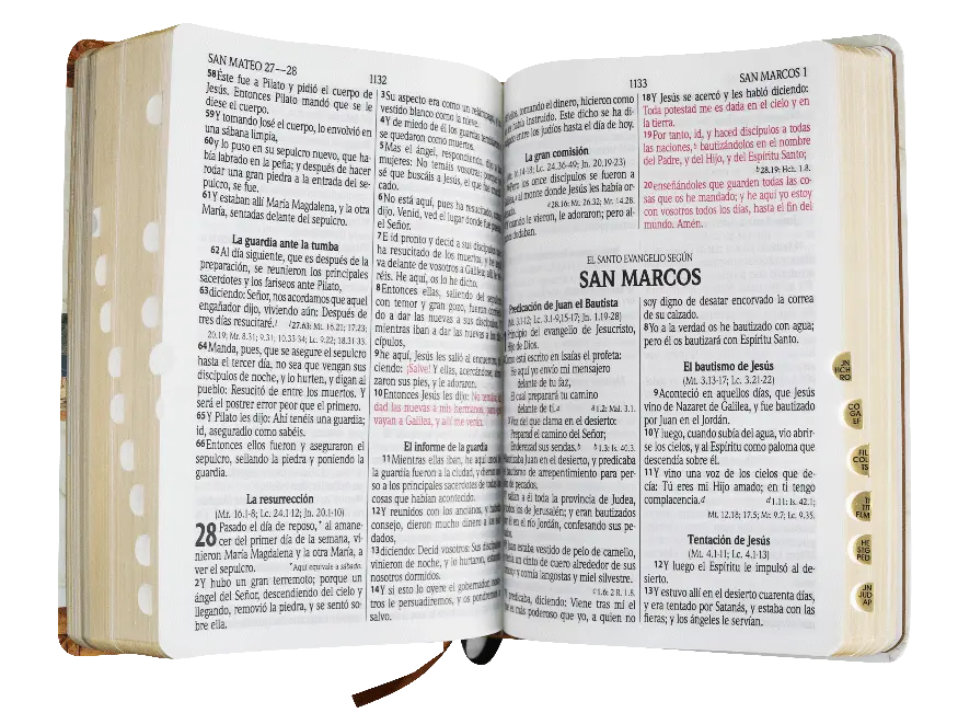 CONTENIDO (10).webp