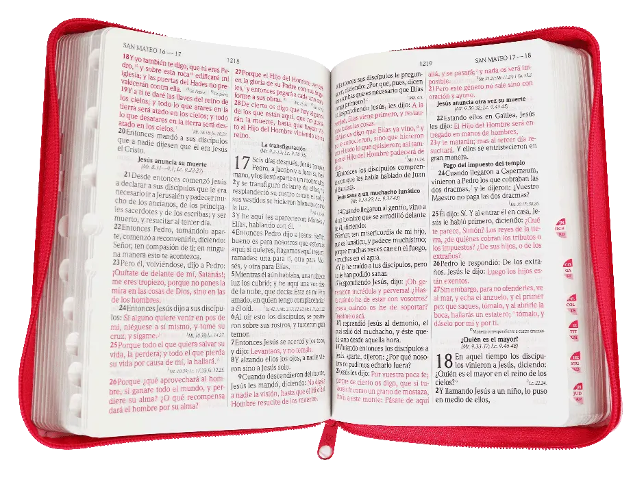 CONTENDIO.webp