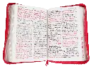 CONTENDIO.webp