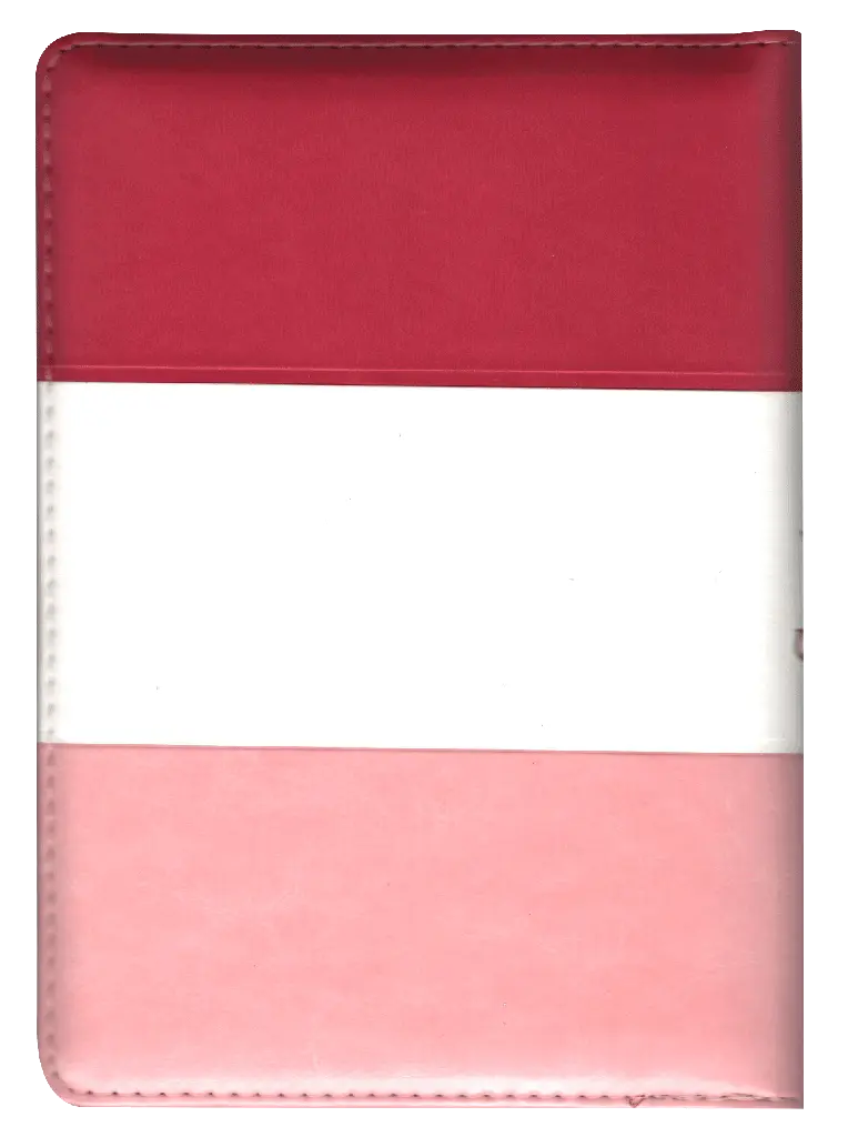 CONTRAPORTADA (12).webp