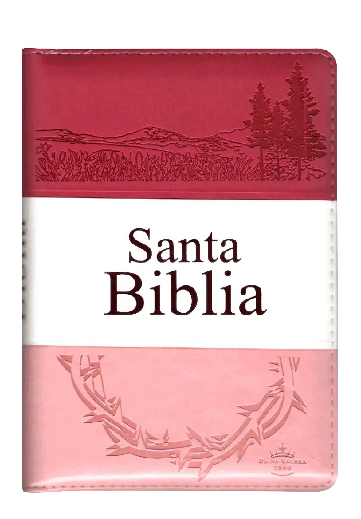 PORTADA (12).webp