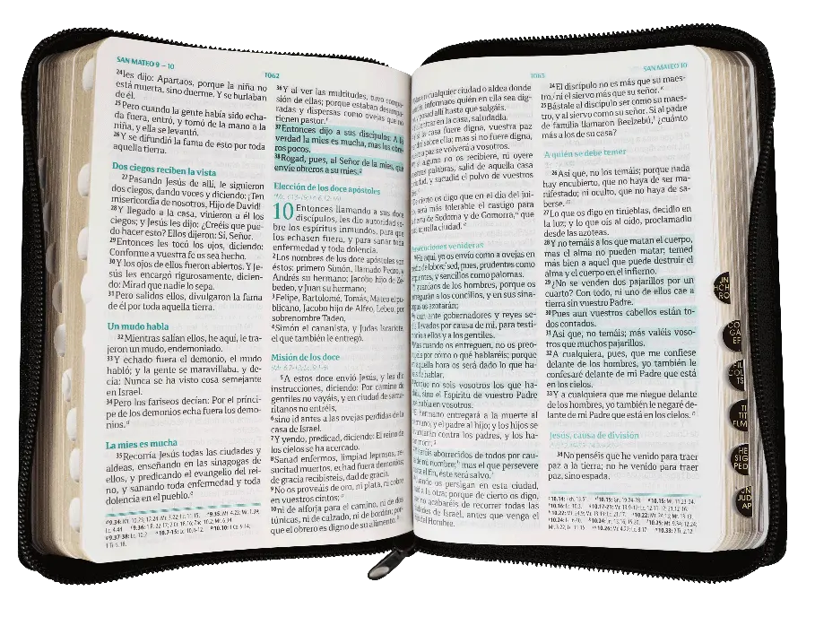 CONTENIDO (11).webp