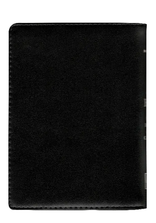 CONTRAPORTADA (13).webp