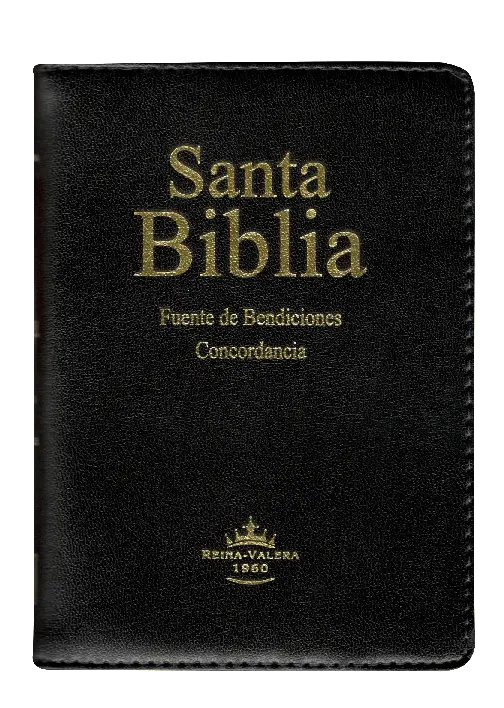PORTADA (13).webp