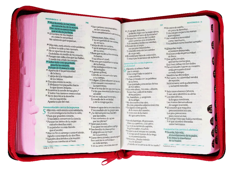 CONTENIDO (12).webp