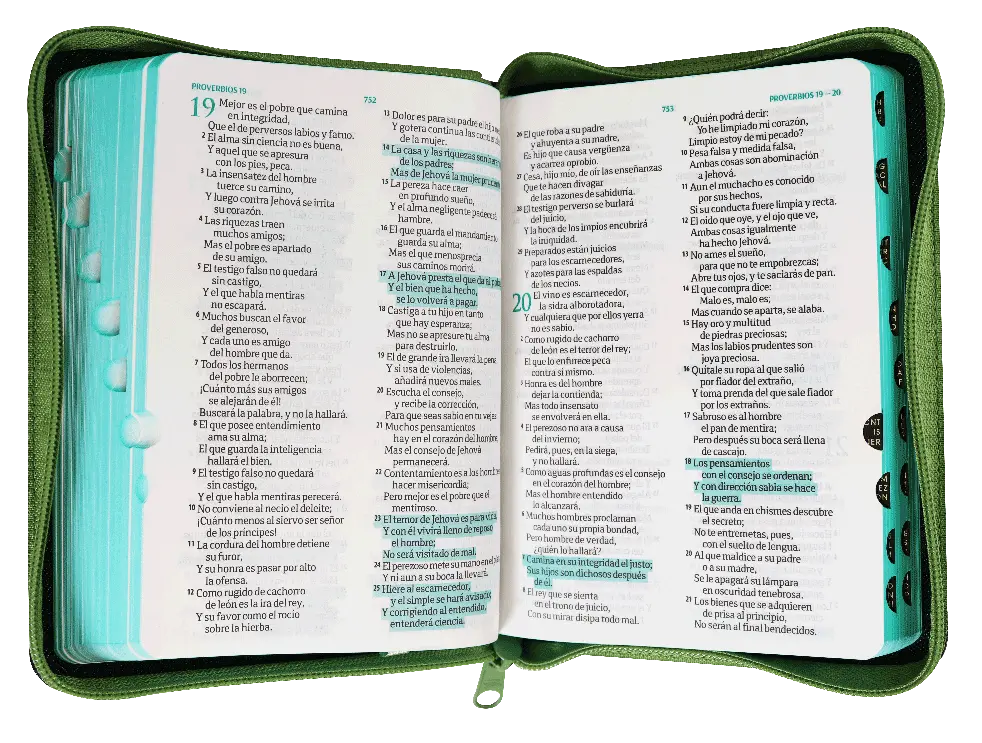 CONTENIDO (13).webp