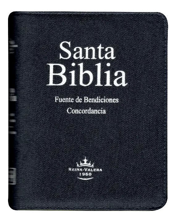 PORTADA (15).webp