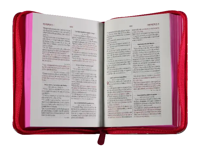 Biblia Reina Valera 1960 Chica Letra Chica Imitación Piel Fucsia Código QR [RVR025cZLMPJR].webp